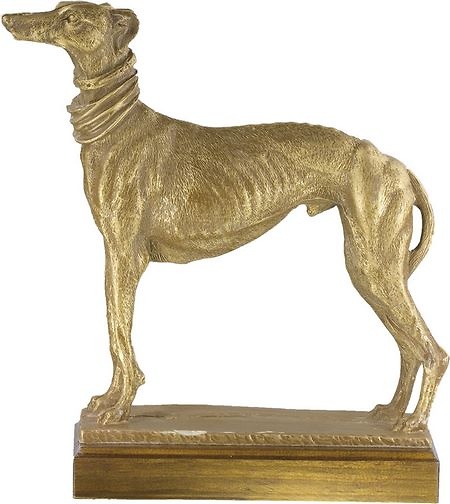 Trofeo Guaicaip Galgo, Trofeo Caza 