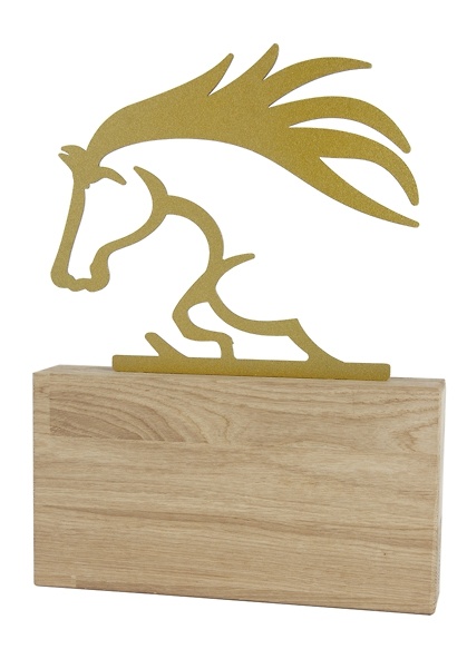 Trofeo Illa de Caballos 