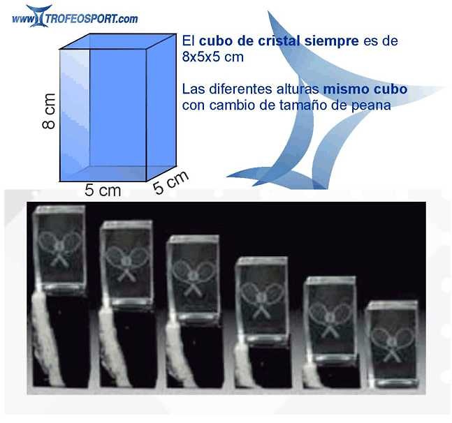 Trofeo Lozoya Cubo de Cristal Bolos 