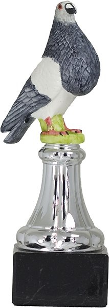 Trofeo Pajaro Gris 