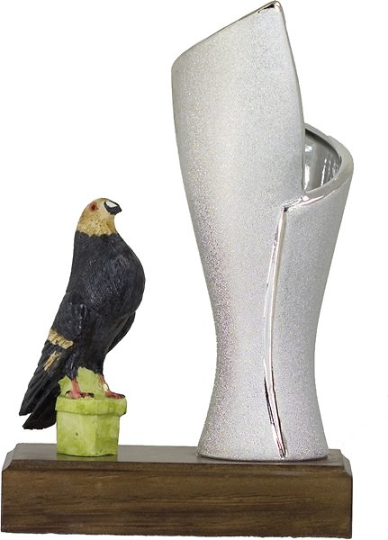 Trofeo Pajaro Negro 