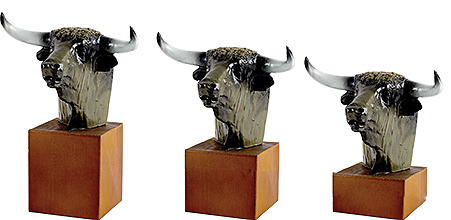 Trofeo Parafita de Toros 