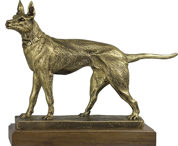 Trofeo Perro Dorado 