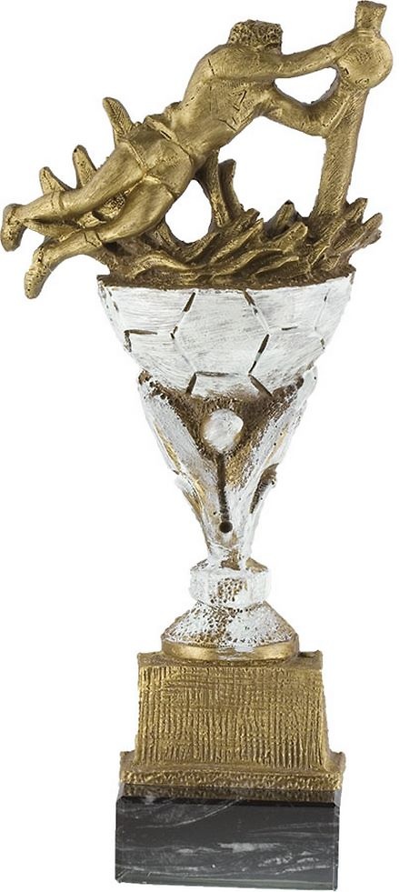 Trofeo Rapain Futbol 