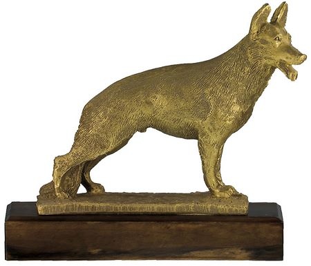 Trofeo Teques para Perros 