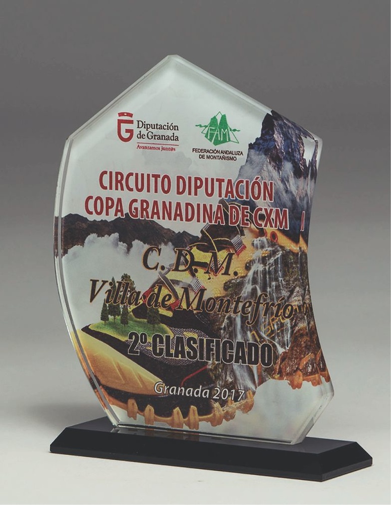 Trofeo de cristal impresion todo color Lenito 