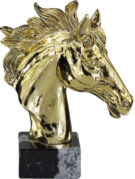 Trofeo hípica de caballo 